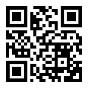 【実戦的隠遁術】2026年、AI監視網を物理的に回避する「ステルス・偽装」の全貌。 顔認証を無力化する歩容偽装、電波遮断のファラデー・ケージ自作法、ドローンの熱源探知を逃れる熱遮断技術。奴らのアルゴリズムに「存在しないノイズ」として認識させるための、物理的・心理的ハッキング術を観測者が伝授する。